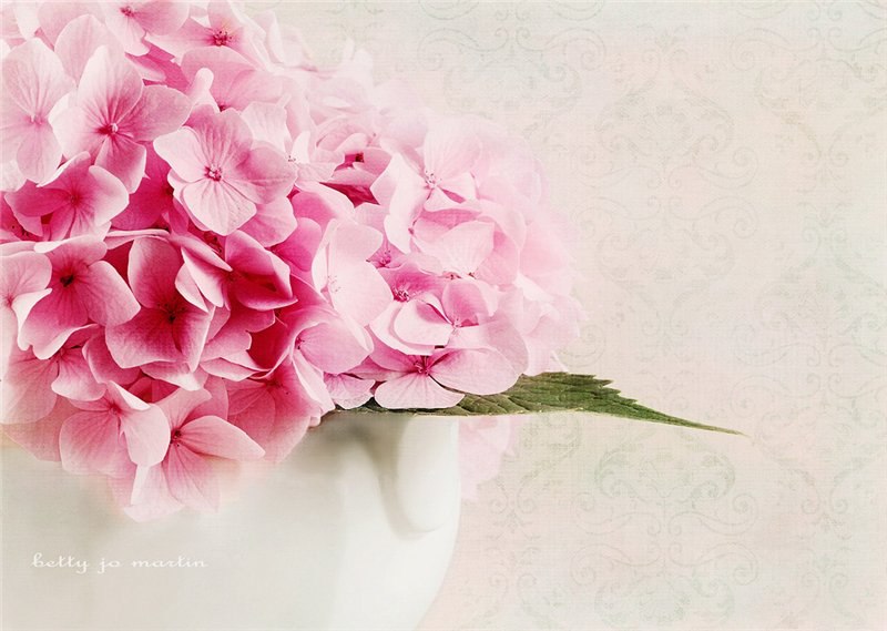 ))).https://fotostrana.ru/away?to=/sl/AeN4 life and Flowers by Betty Jo Martin. - 3