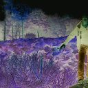  , -, 43  -  1  2017    