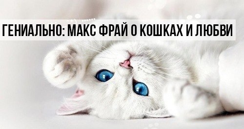     ,   .  -      ...