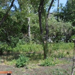 �����, ������