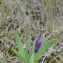  , --, 44  -  20  2016    - 2015