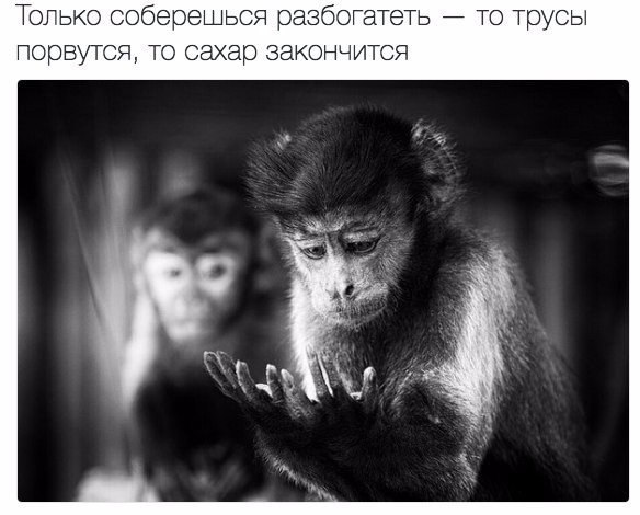   - 26  2016  20:44