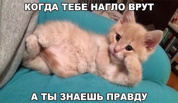  -  - 15  2016  21:21