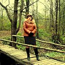 ���� �����, ���������, 44 ���� - ��������� 17 ������� 2016 � ������ ���� ����������