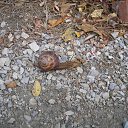 ���� ��������, ������, 55 ��� - ��������� 3 ������� 2016 � ������ ���� ����������