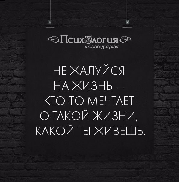  - 20  2017  12:37