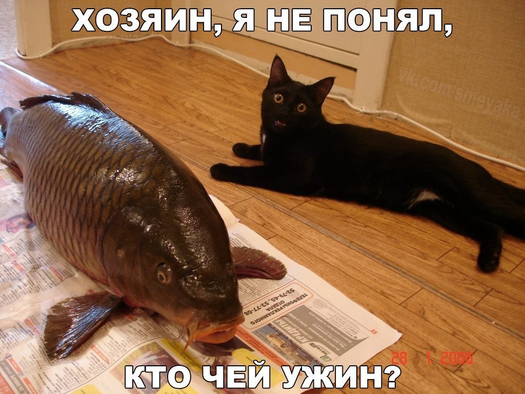    :D - 24  2016  07:07