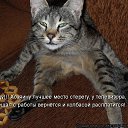  , -, 50  -  24  2016    