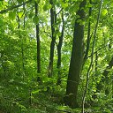 ���� ������, ������, 51 ��� - ��������� 29 �������� 2016 � ������ ������ - ������ � ����������