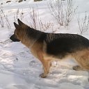 ���� ����, ���� - ��������� 18 ������� 2017 � ������ ���� ����������