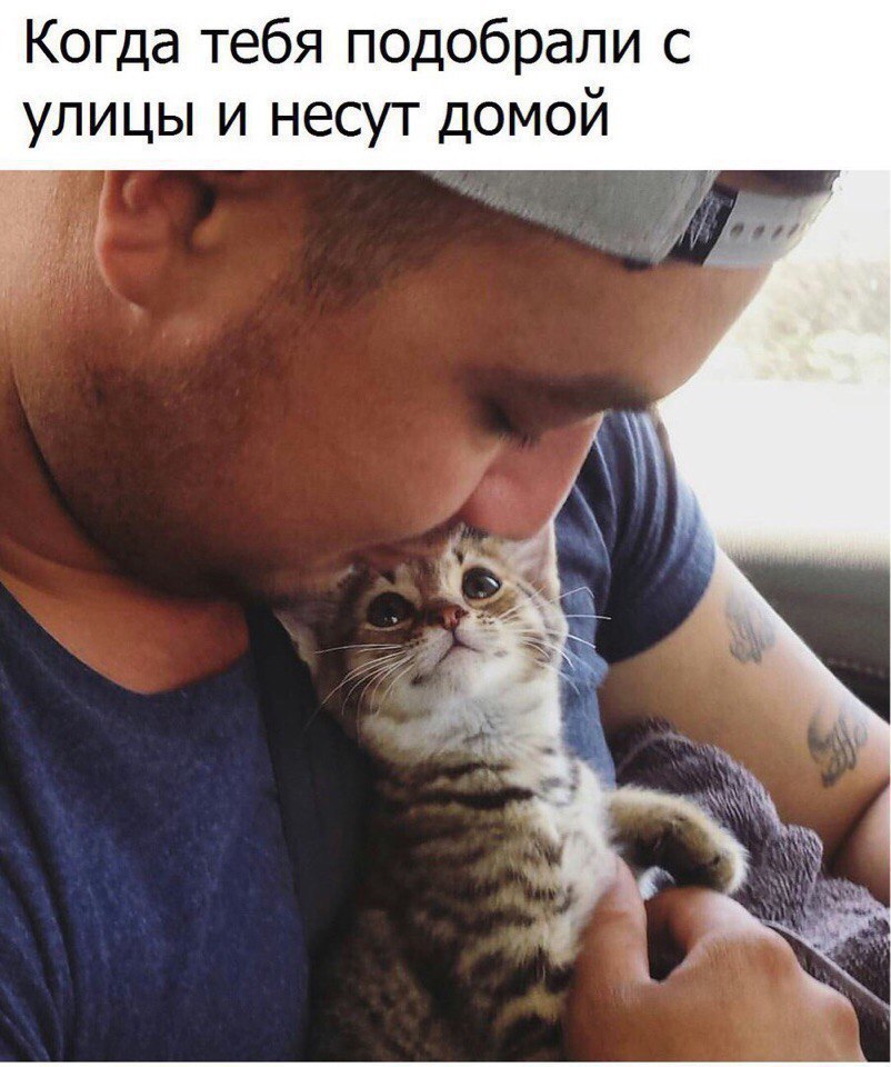   - 13  2017  18:55