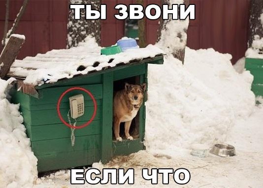    :-) - 17  2016  12:03