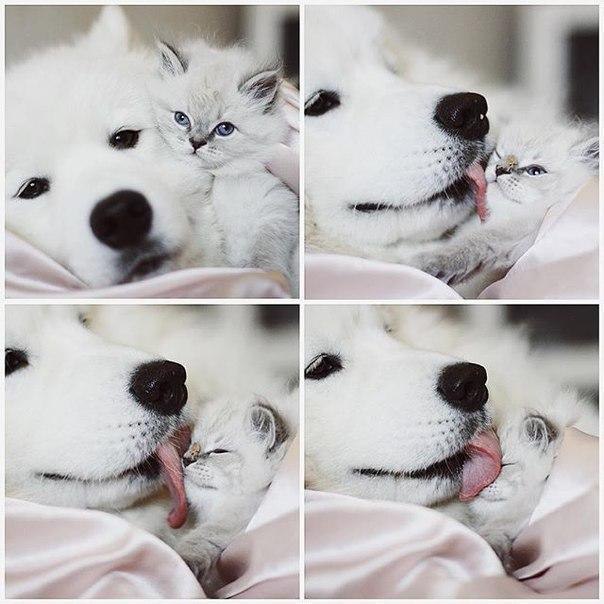  !)