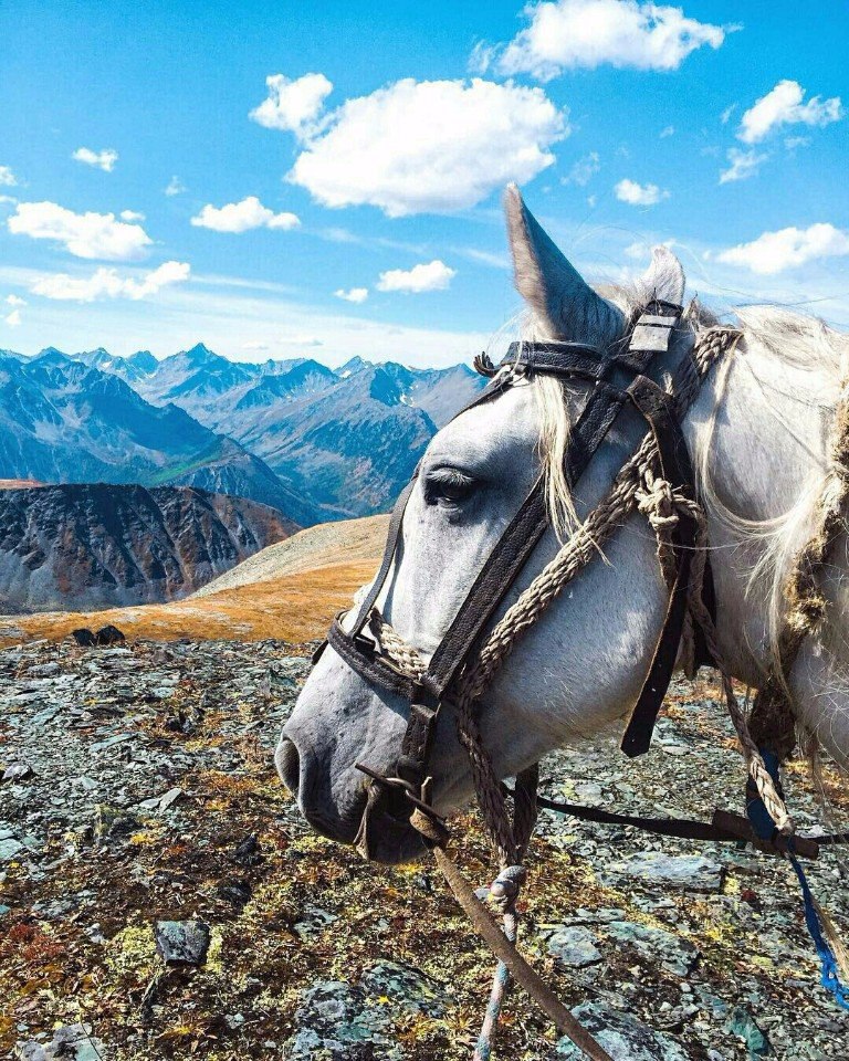  , .#@travel.blog - 10