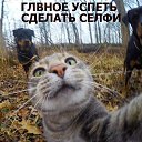 ���� �������, ������ - ��������� 12 ������� 2017 � ������ ������ ��������