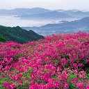 ���� �������, ������, 48 ��� - ��������� 7 ����� 2017 � ������ ������ ��������