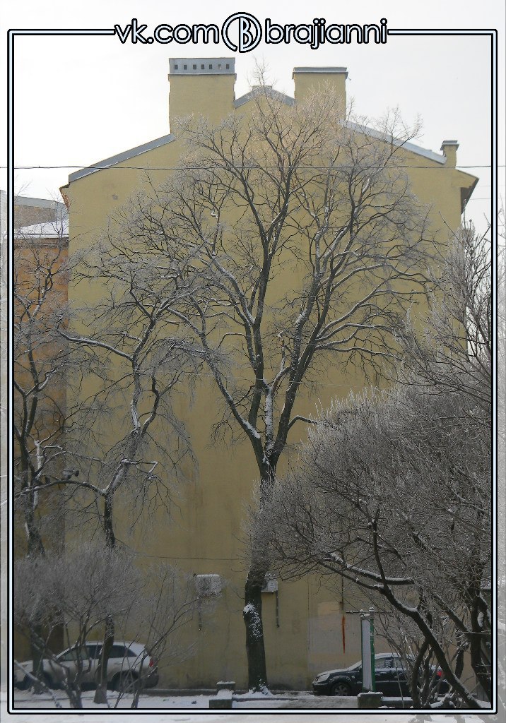  .#brajianni - 8