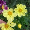 ���� ���������, ��������, 63 ���� - ��������� 10 ������� 2016 � ������ ���� ����������