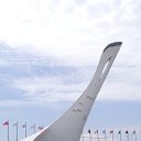 ���� ������, ������-��-����, 41 ��� - ��������� 14 ������ 2016 � ������ ���� ����������