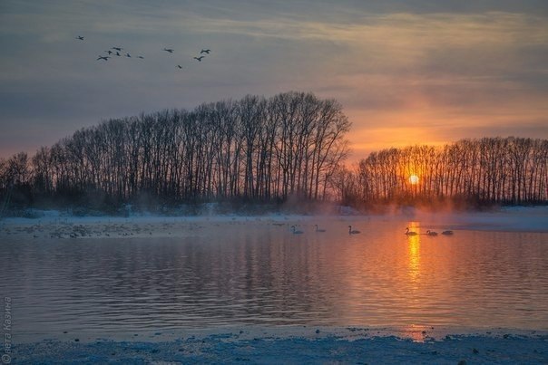     .     35.    ,  ... - 3