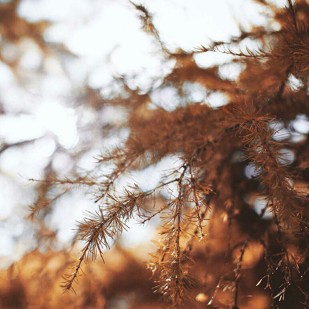, .#@travel.blog - 8