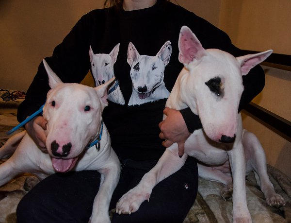 Hrafnsmerki things - https://vk.com/hrafnsmerki.Представляет вещички с авторским принтом, ... - 4