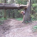 ���� ����, ������, 37 ��� - ��������� 24 �������� 2016 � ������ ���� ����������