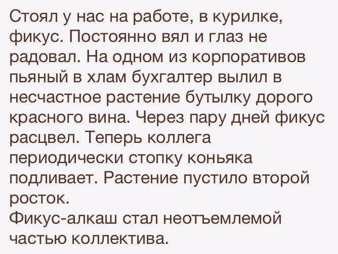 " —  ...  " - 29  2017  23:06