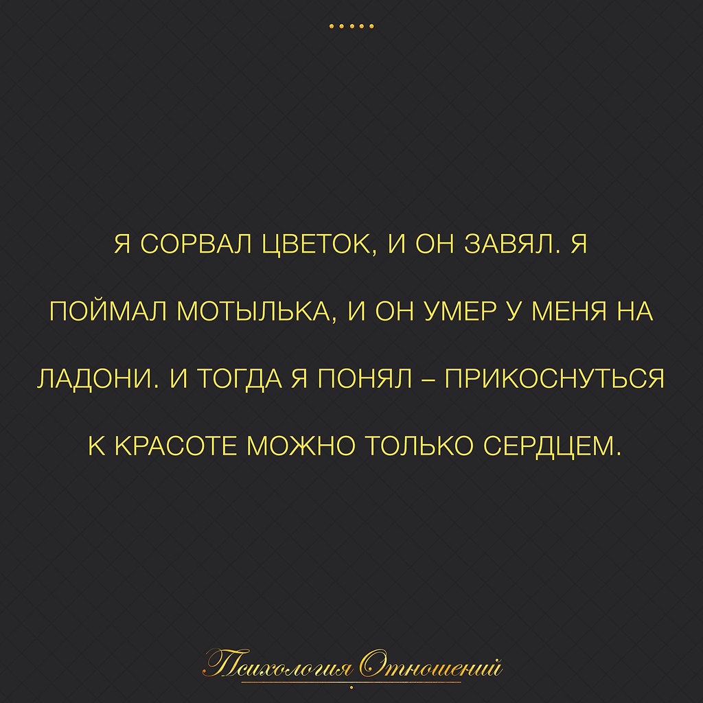   - 3  2017  15:31