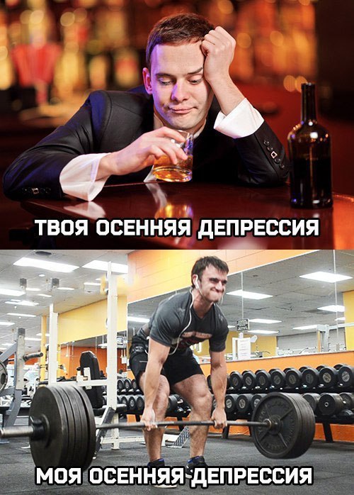  -   - 24  2016  23:46