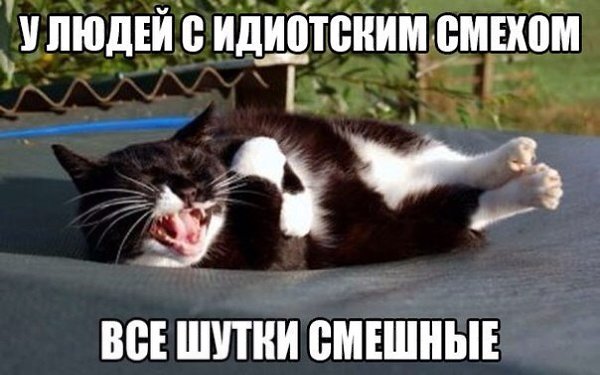 Art & Fun - 3 ������ 2017 � 04:36