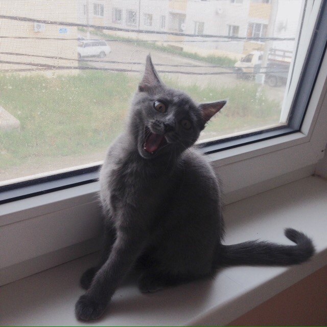 !!  !