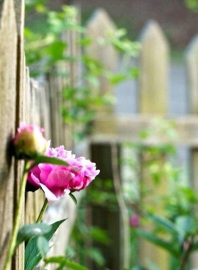 Откройте ваше сердце счастью. Впустите в вашу душу свет. И мир покажется прекрасным. Жить по- ... - 6