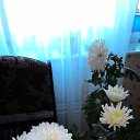  , -, 54  -  10  2016    ۻ