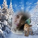 ���� ������ �������������, ������������-��������, 49 ��� - ��������� 14 ������ 2016 � ������ ���� ����������