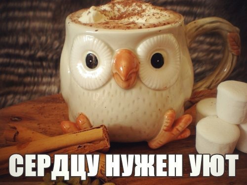 Р. А я ценю в тебе уют, Надёжный тыл, родные мысли. И чтоб найти мне свой приют, Пройти пришлось ...