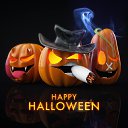 ���� Ameets21, ����, 41 ��� - ��������� 13 ������ 2016 � ������ ���� ����������