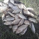 ���� ��������, ������, 54 ���� - ��������� 26 ������ 2016 � ������ ���� ����������