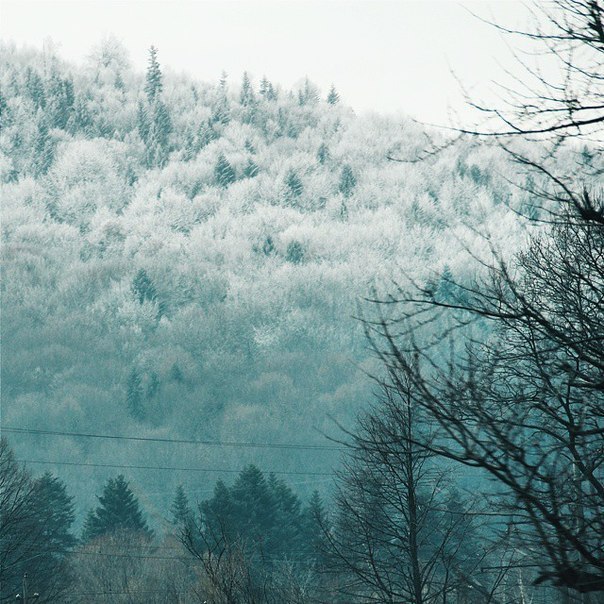 Carpathian Mountains, Ukraine - 3