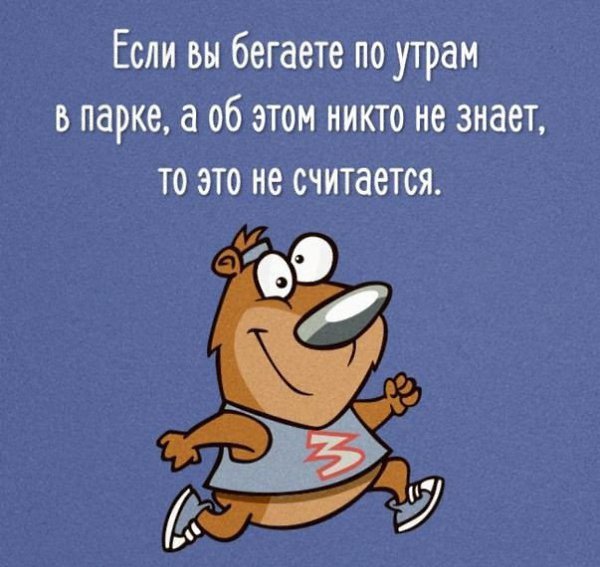 SportFeed - 19  2017  12:28