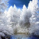  ,  -  24  2017   Pictures