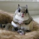 ���� Alehandro, ����������, 53 ���� - ��������� 30 ����� 2017 � ������ ������ ��������