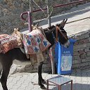 ���� ������, �������-���������, 49 ��� - ��������� 5 ������ 2017 � ������ ���� ����������