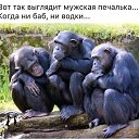 ���� �����, ������� - ��������� 16 ������ 2016 � ������ ������ ��������