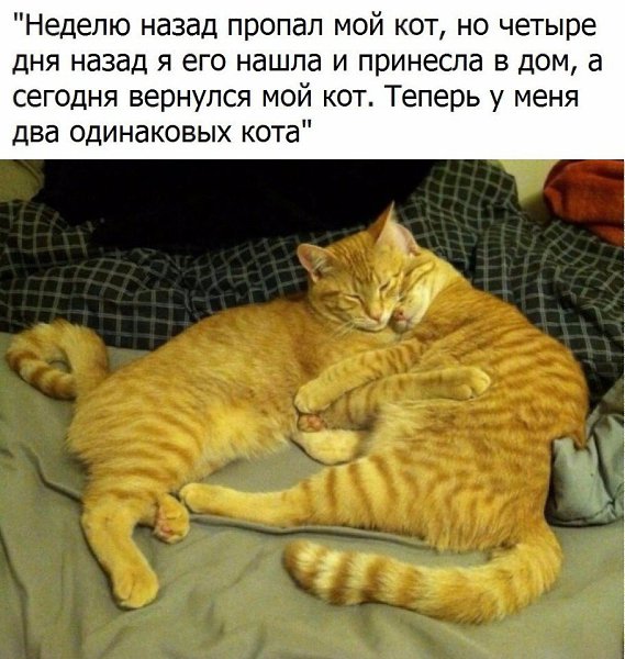   - 2  2017  15:08