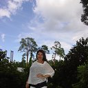 ���� �����, ������ - ��������� 5 ������� 2017