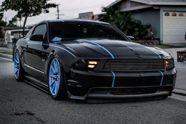 . . . Bagged Mustang GT 5.0