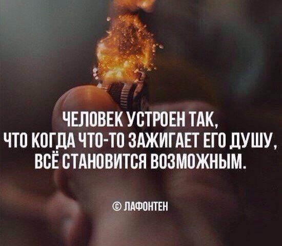    - 6  2017  12:47