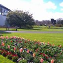 ���� Lana, ������, 54 ���� - ��������� 1 ������ 2017 � ������ �Timeline Photos�