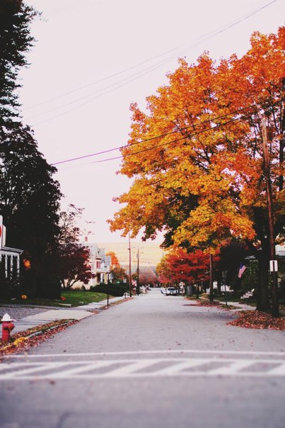   ,       ,  ,  ... - 6